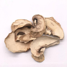 Оптовые мытые сушеные ломтики грибов Сушеные шампиньоны поставка фабрики